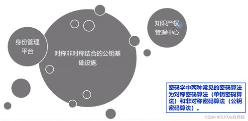 物聯(lián)網(wǎng)安全架構(gòu)、基礎(chǔ)設(shè)施與安全軟件開發(fā) 構(gòu)建可信的互聯(lián)世界